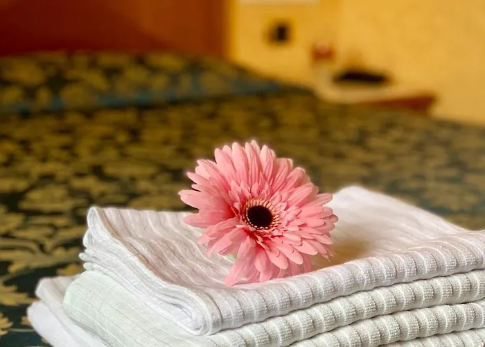 Hotel Vatican Amorim Roma